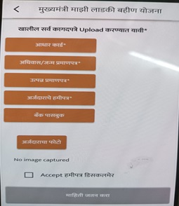 Majhi Ladki Bahin Yojana Application Form Clip 4