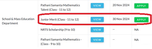 Junior Merit Scholarship Online Application