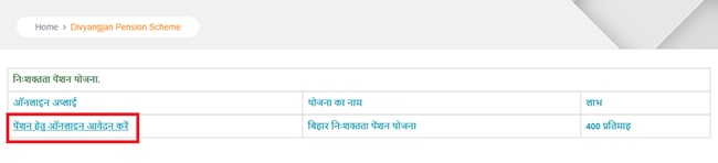 Bihar Disability Pension Online link