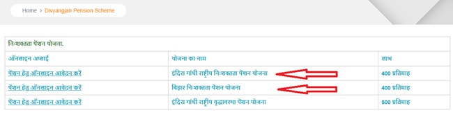 Bihar Disability Pension Online Link