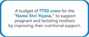 Gujarat Namo Shri Yojana Information