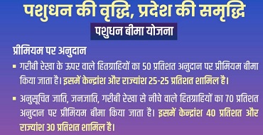 Madhya Pradesh Pashudhan Bima Yojana Premium Rates