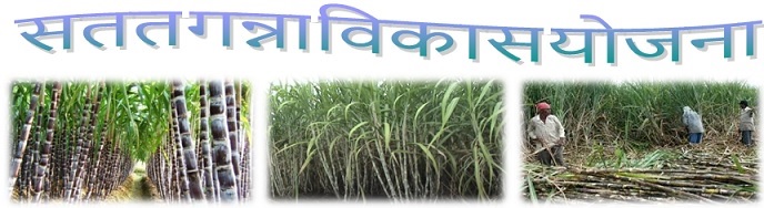 सतत गन्ना विकास योजना - Logo