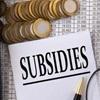 Subsidy